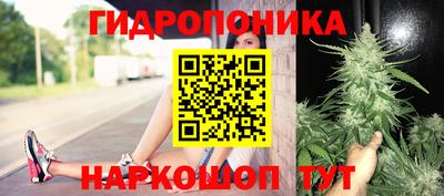 прущая мука Будённовск