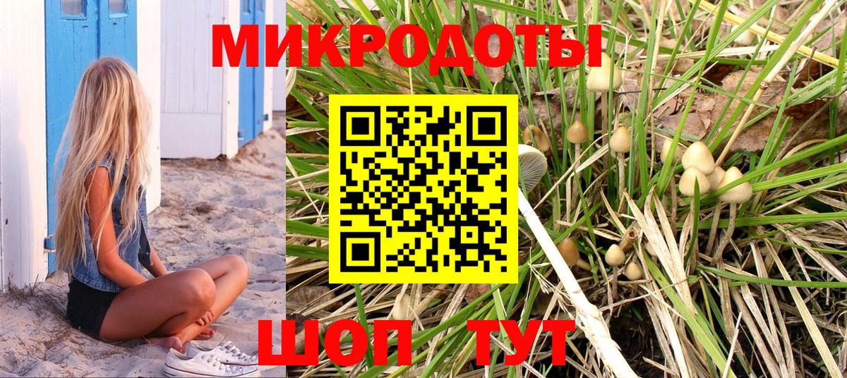 Псилоцибиновые грибы MAGIC MUSHROOMS Родники